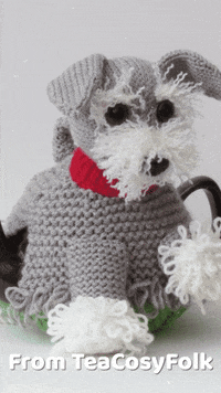 Miniature Schnauzer Beard GIF by TeaCosyFolk