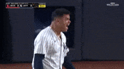 New York Yankees GIF by MLB