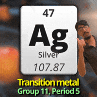 Group 11 Silver GIF