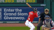 Celebrate Home Run GIF by MLB