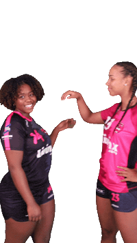 NLGHB louve noisyhb noisylegrandhb noisylegrandhandball Sticker