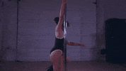 Ivy Park Dancing GIF by Shalita Grant
