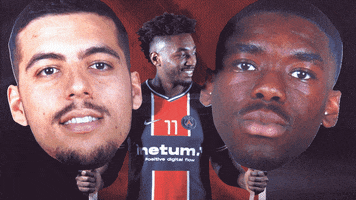 France Sport GIF by Paris Saint-Germain Handball