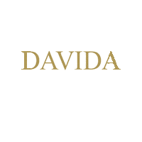 DavidaSposa davida davidasposa Sticker