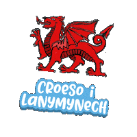 Ysgol Carreghwfa Sticker