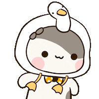 Katercat cat wiggle kat kater Sticker
