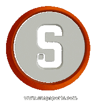 Basketball Spin Sticker by SnapLock