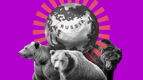 RussiaBeyond giphyupload bear russia bears GIF