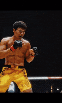 Octagon GIF