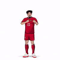 World Cup Football GIF by Panini America