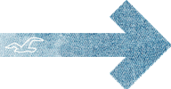 Arrow Point Sticker by Hollister Co.