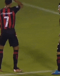Ecvitoria GIF