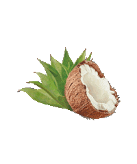 Palm Tree Coco Sticker by Lee Stafford Hair