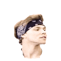 5 seconds of summer STICKER by imoji