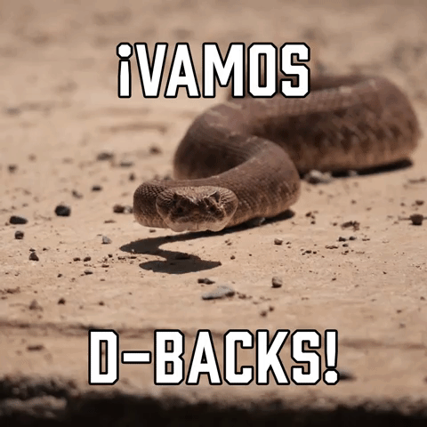 ยกVamos DBacks!