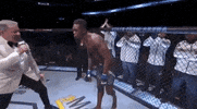 ufc sports sport ufc mma GIF