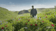 neil degrasse tyson cosmos GIF by Vulture.com