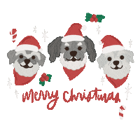 Dog Christmas Sticker by Ann of Facedit