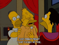 homer simpson GIF