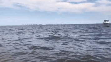 Humpback Whale Breaches Extremely Close to Boat Off New Jersey