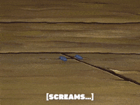 season 6 the splinter GIF by SpongeBob SquarePants