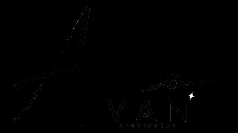 vanacessorios giphygifmaker giphyattribution vanacessorios euusovan GIF