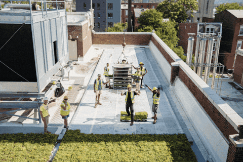 Cincinnatti GIF by Groundwork USA