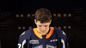 FlintFirebirds ohl firebirds flint firebirds ohl hockey GIF