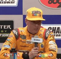 kyle busch no GIF by NASCAR