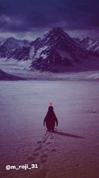 Penguin GIF