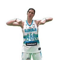 Lisec Sticker by Basketball Federation of Slovenia