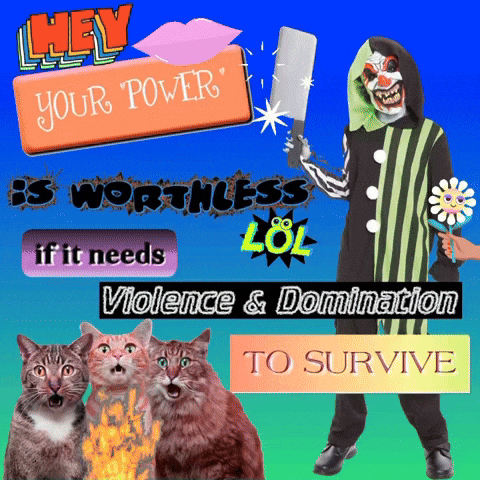 Cat Wtf GIF by Edgar Fabián Frías