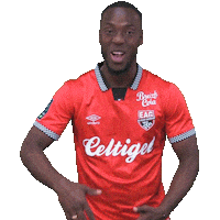 Ligue 2 Football Sticker by EA Guingamp