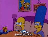 Season 1 GIF by The Simpsons