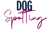 Love Dogs Photography Sticker by puppytales