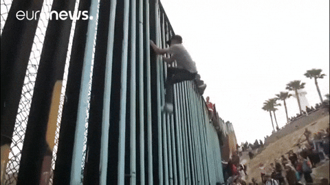 Wall Climbing GIF by euronews
