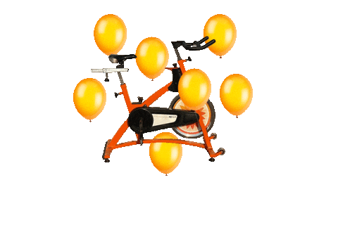 Birthday Celebrate Sticker by TEAMride Studios