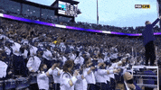 College Football GIF by Washington Athletics