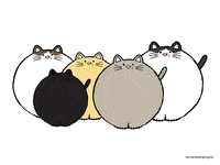 animation cat GIF by Arsenije Vujovic