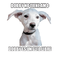 Adoptanocompres Camperito Sticker by El Campito Refugio