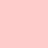 GIF by Borrachas