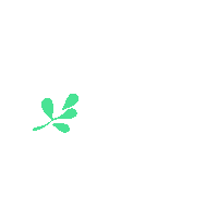 Heart Marca Sticker by Molier