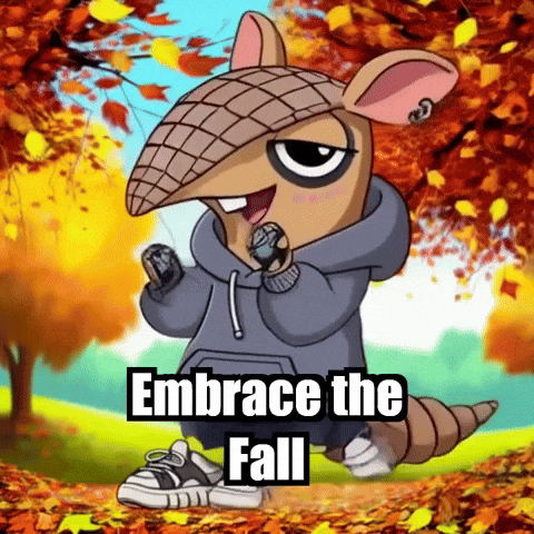 Joy Wisdom GIF by Chillo Dillo