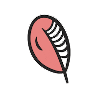 Fall Season Pink Sticker by Sheila Streetman