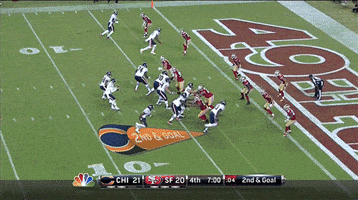 Chicago Bears Touchdown GIF by hero0fwar