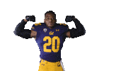 Drayden Sticker by Cal Athletics