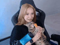 Cat Streamer GIF