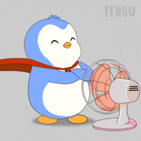 Penguin Cool Down GIF by Pudgy Penguins