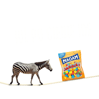 zebra lol Sticker by MAOAM