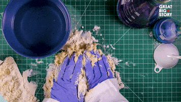 Toaster Strudel GIF by Great Big Story